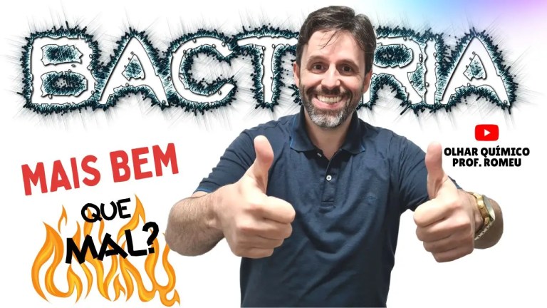 Mapa Mental de Bactérias: Resumo Completo | Olhar Químico